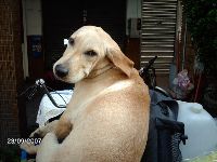 0923_132.JPG (114465 bytes)