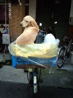 0923_133.JPG (74435 bytes)