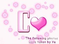 0930_103.jpg (49676 bytes)