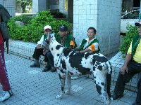 1001_026.jpg (91632 bytes)