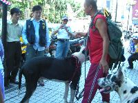 1001_027.jpg (87497 bytes)