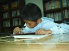 pic_0034_small.jpg