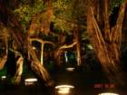 dsc01968_small.jpg