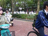 1101_032.JPG (161890 bytes)