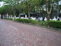 1101_033.JPG (146943 bytes)