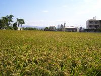 1101_042.JPG (154270 bytes)