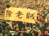 1117_0061.jpg (77316 bytes)