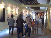 1118_051.JPG (95720 bytes)