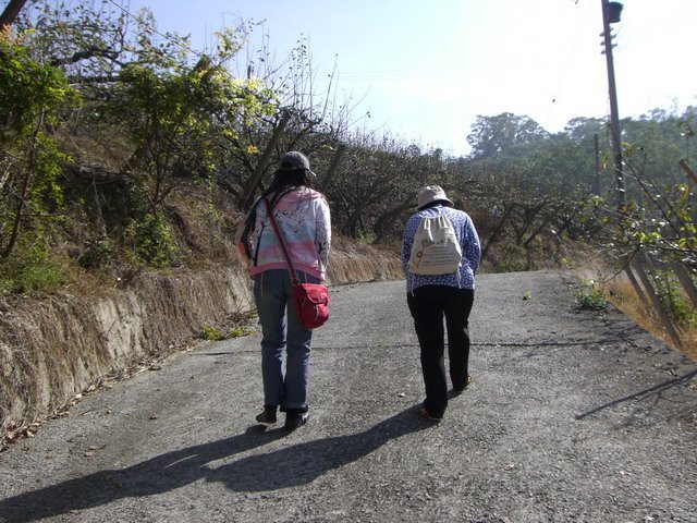_0161.jpg